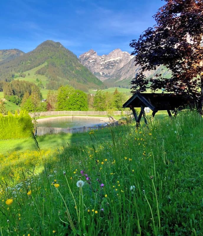 Blick auf das Tennengebirge und zum Badeteich von der Pension Wildau