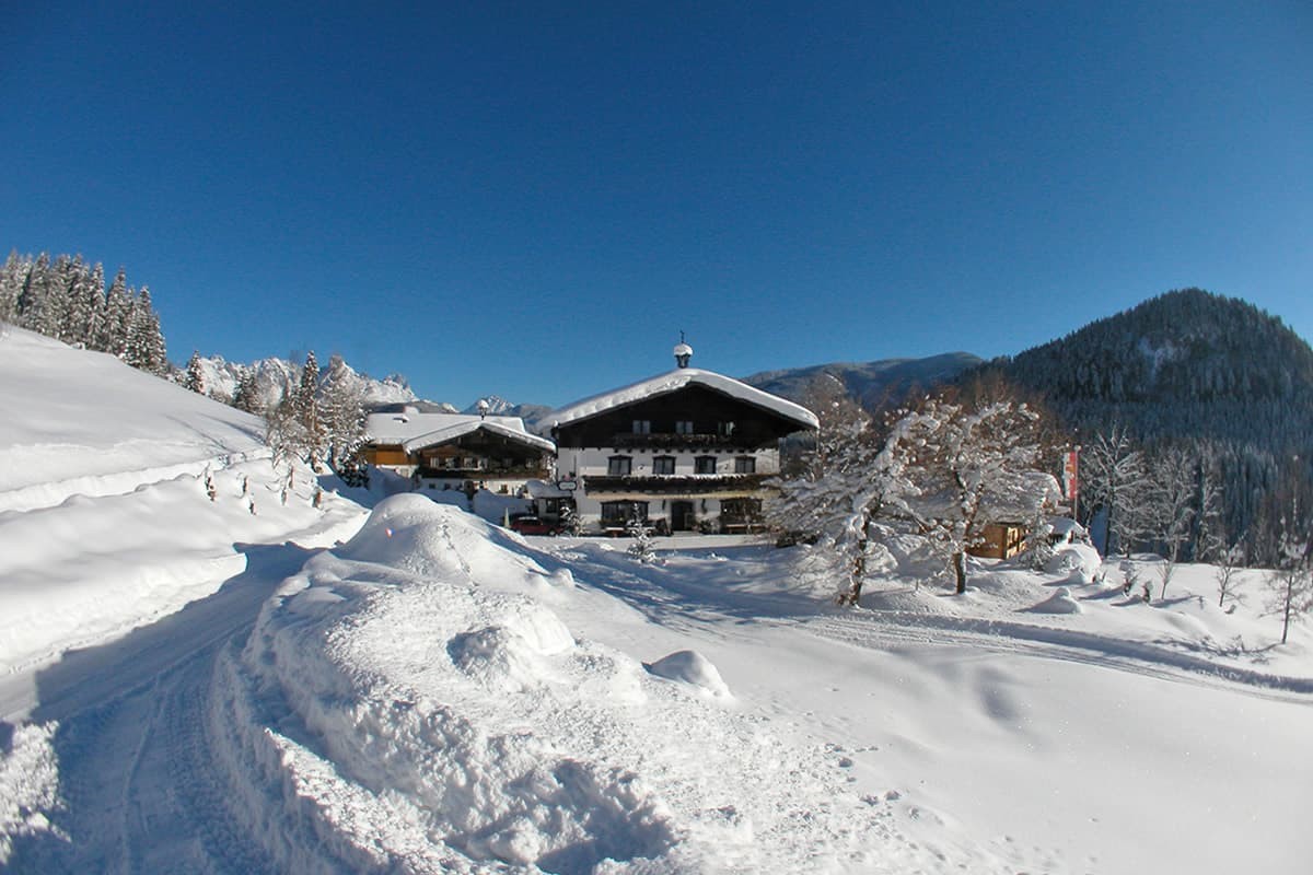 Berghof Wildau im tief verschneiten Lammertal