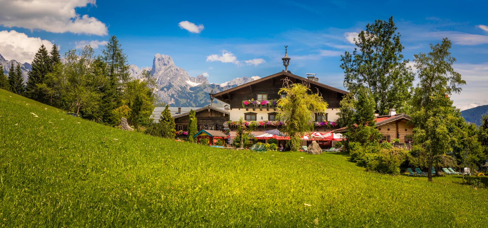 Blick über die Sommerwiese zur Pension Wildau - im Hintergrund der Gosaukamm