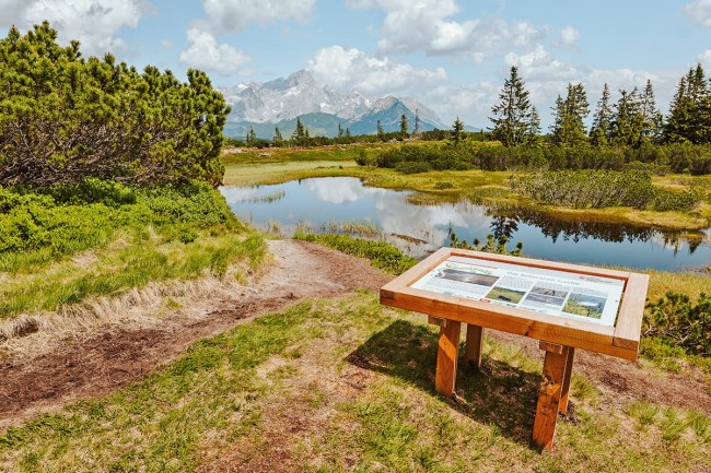 Schwarze Lacke am Gerzkopf
