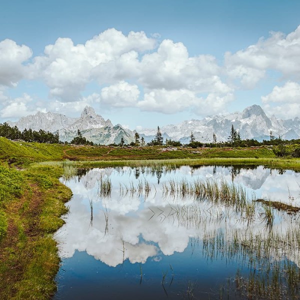 Schwarze Lacke am Gerzkopf